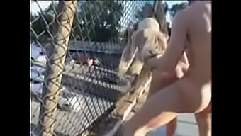 Big Tits Blonde Gets A Hardcore Blowjob In Public